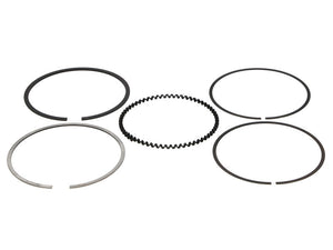 Wiseco 95.5mm XS Ring Set Ring Shelf Stock