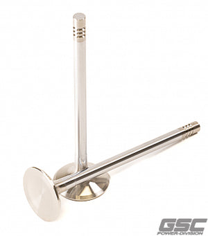 GSC P-D Audi DAZA 28mm Head STD 101.8mm Long Chrome Polished Exhaust Valve - Single