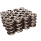 COMP Cams Valve Springs 2.100in Triple D