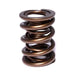 COMP Cams Valve Spring 1.550in 2 Spring