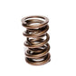 COMP Cams Valve Spring 1.575in Inter-Fit