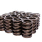 COMP Cams Valve Springs 1.430in Outer