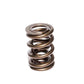 COMP Cams Valve Spring 1.650in 2 Spring