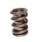 COMP Cams Valve Spring 1.625in CHR