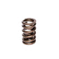 COMP Cams Valve Spring 1.255in High Perf