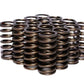 COMP Cams Valve Springs 0.960in Inner R