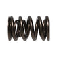 Manley NexTek Series 1.580 OD .832 ID .730 Lift Oval Track and Endurance Valve Springs