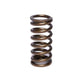 COMP Cams Valve Spring 0.960in Inner Re