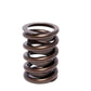 COMP Cams Valve Spring 1.437in Outer W/D