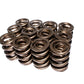 COMP Cams Valve Spring 1.625in H-11 Asse