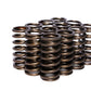 COMP Cams Valve Springs 0.970in Inner