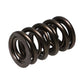 Manley NexTek Series 1.580 OD .832 ID .730 Lift Oval Track and Endurance Valve Springs