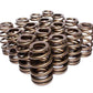 COMP Cams Valve Springs 1.589in Beehive