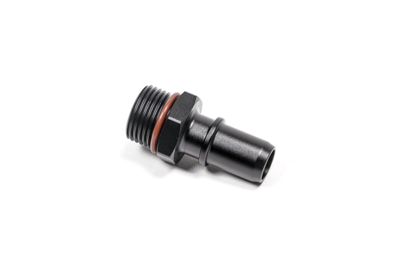 Radium Engineering 10AN ORB to 16mm SAE Male Adapter Fitting