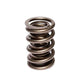 COMP Cams Valve Spring Stock Late Model