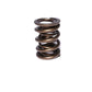 COMP Cams Valve Spring 1.550in 2 Spring